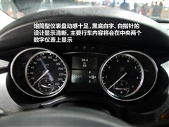 2009款 R 300 L 商务型