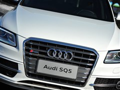 2014款 SQ5 3.0TFSI quattro