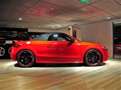 2011款 TTS Roadster 2.0TFSI quattro