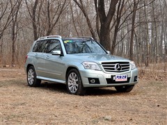 2008款 GLK 300 4MATIC 豪华型