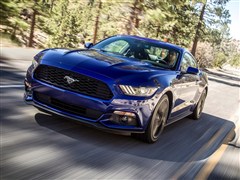 2015款 5.0L GT 性能版