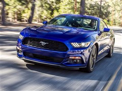 2015款 5.0L GT 性能版