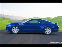 2015款 5.0L GT 性能版