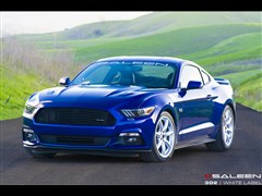 2015款 5.0L GT 性能版