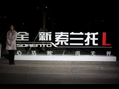 2015款 索兰托L 2.2T 柴油4WD标准版 7座