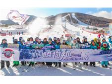 南征北战肆意撒欢 哈狗邦年终粉丝狂欢party凭何成用户心中YYDS